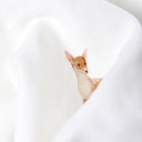 Forest Amigos %100 Organik Pamuk Çift Taraflı Biyeli Müslin Battaniye 90 x 120 cm